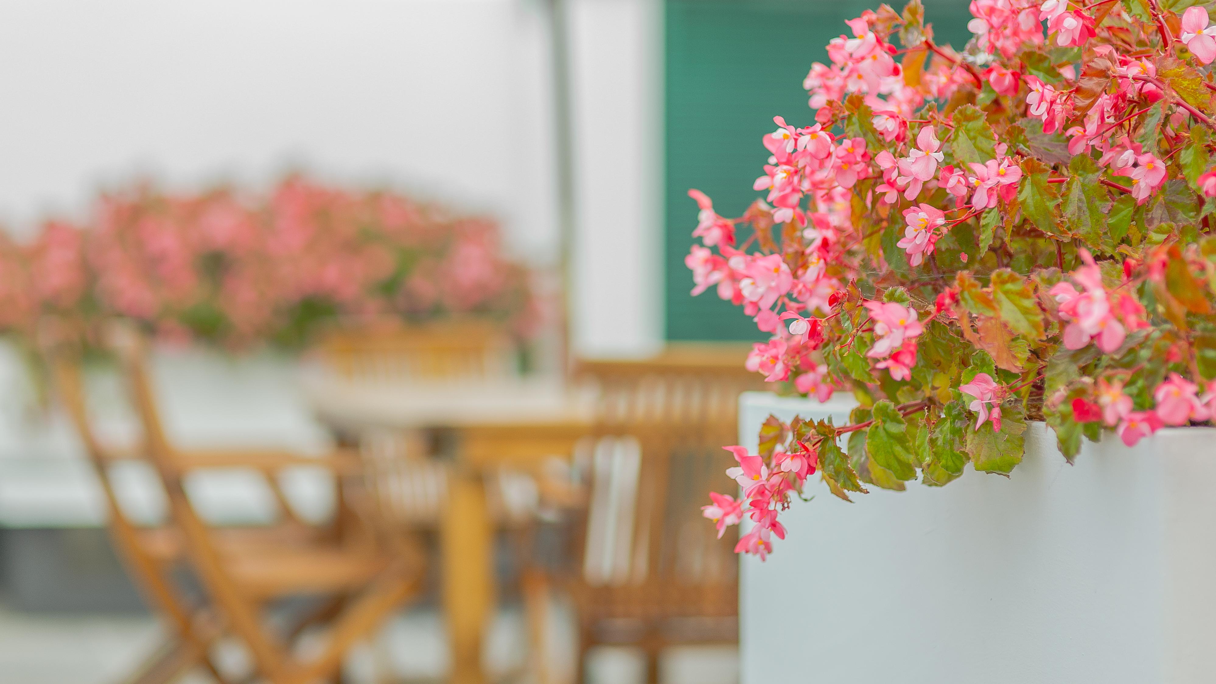 Comercial Boutique Guest House Πόντα Ντελγκάντα Εξωτερικό φωτογραφία